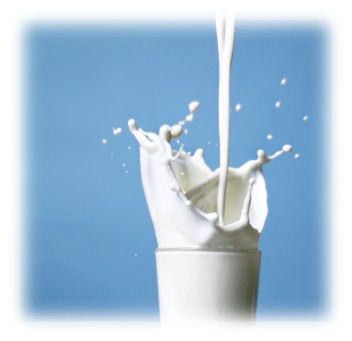 Our Milk Customers